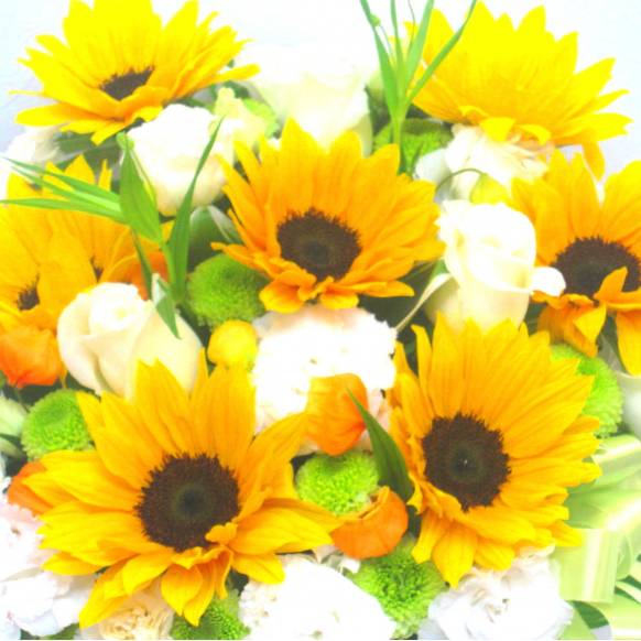 《Flower arrangement》Summer Clear