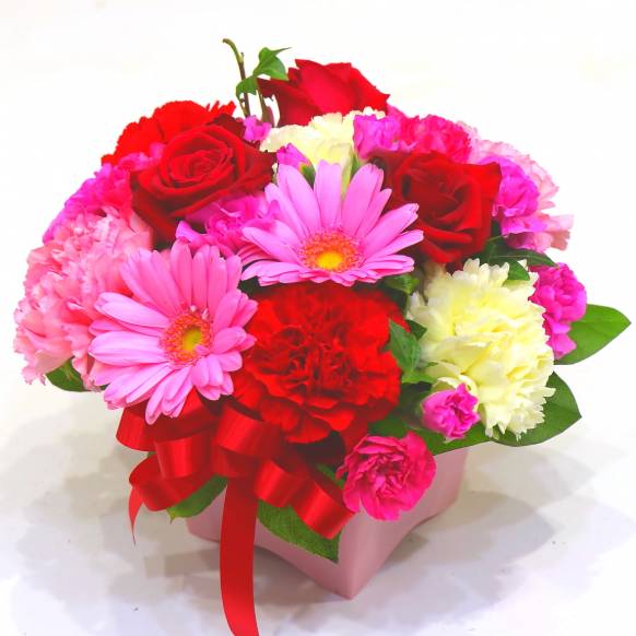《Flower arrangement》Colon Red