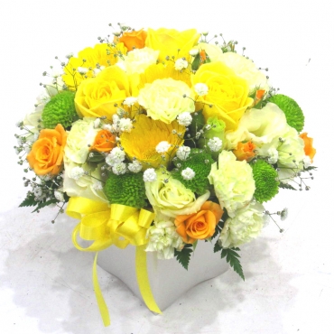 《Flower arrangement》Colon Yellow