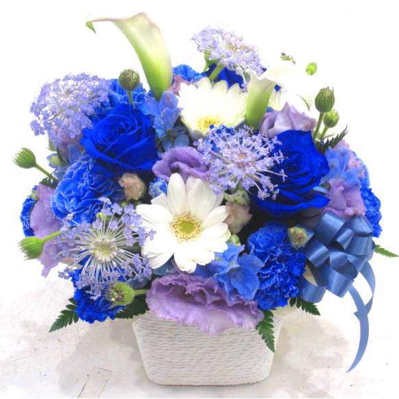 《Flower arrangement》Colon Blue
