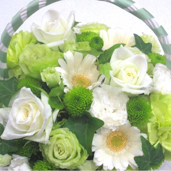 《Flower arrangement》Green Ribbon Basket