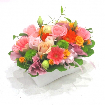 《Flower arrangement》Primage