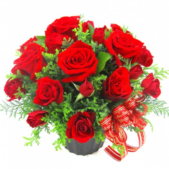 《Flower arrangement》 Rose Elegant