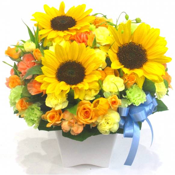 《Flower arrangement》Sunflower Blue Ribbon