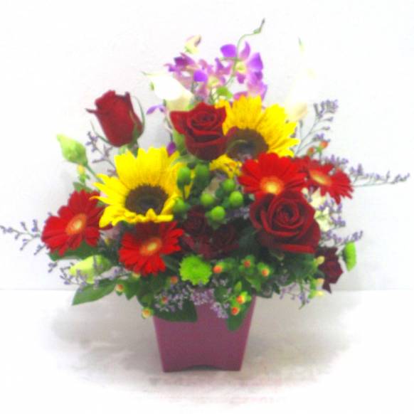 《Flower arrangement》A restless Sunflower