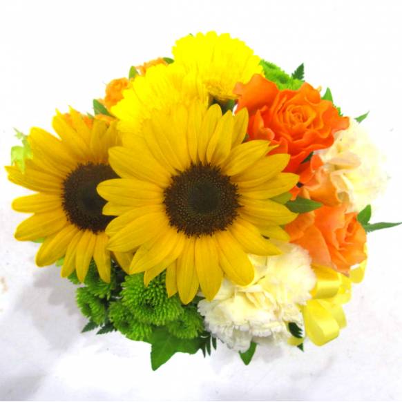《Flower arrangement》Lovely Sunflower