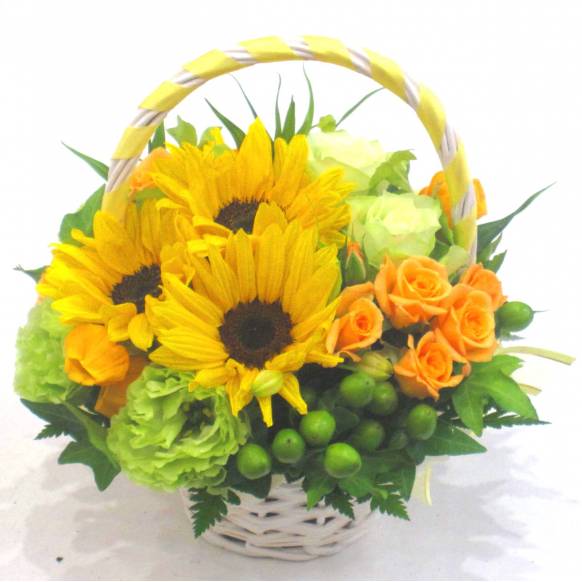《Flower arrangement》Sunflower Ribbon Basket