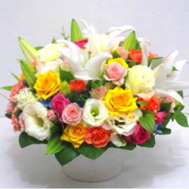 《Flower arrangement》Lily Round
