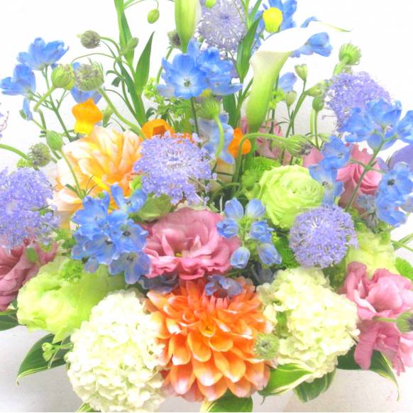 《Flower arrangement》Pastercolors