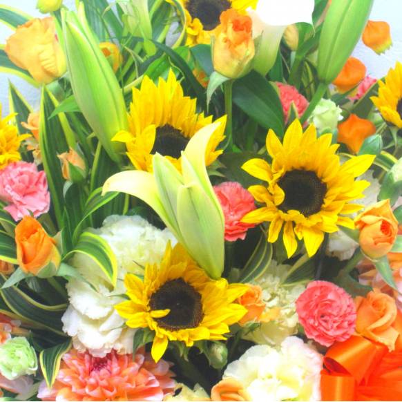 《Flower arrangement》Summer Marvelas