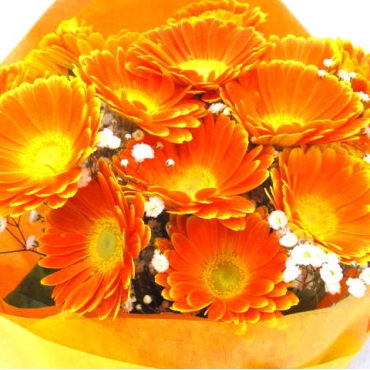 《Bouquet》Gerbera Orange