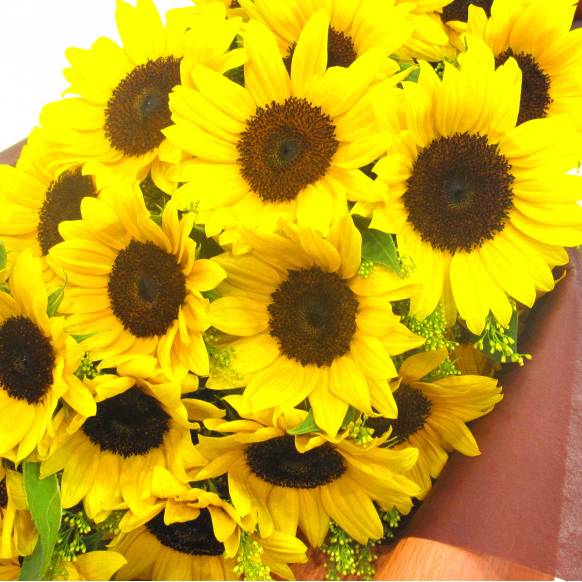 《Bouquet》Sunflower 20