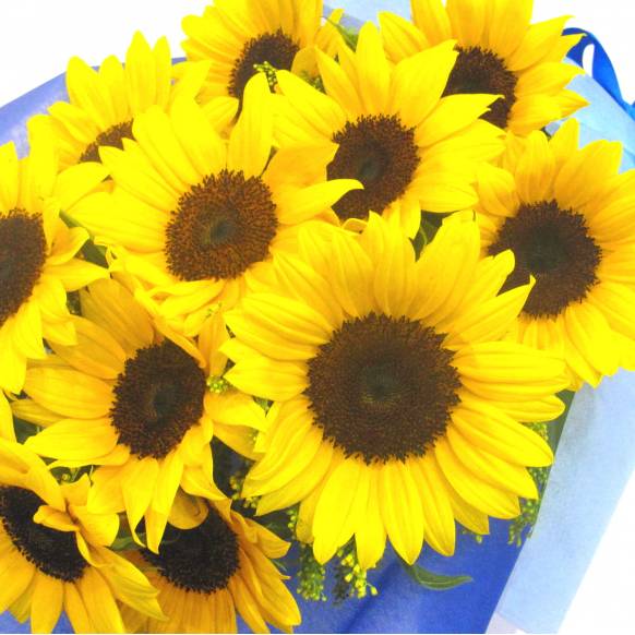 《Bouquet》Dasun Sunflower 12 
