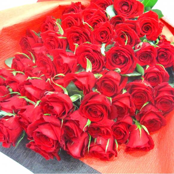 《Bouquet》Premium Red Rose 50