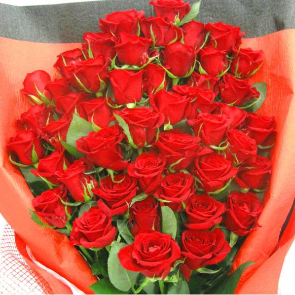 《Bouquet》Premium Red Rose 50