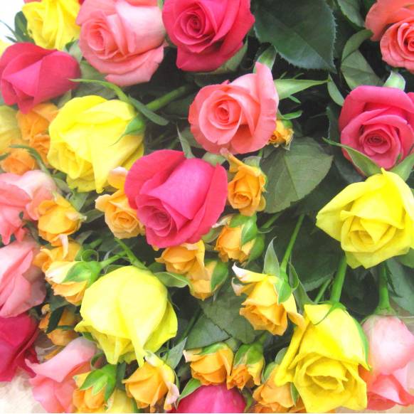 《Bouquet》Rose Colorful Mix 