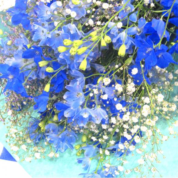 《Bouquet》Qingming
