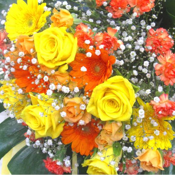 《Bouquet》Impact Cheer color