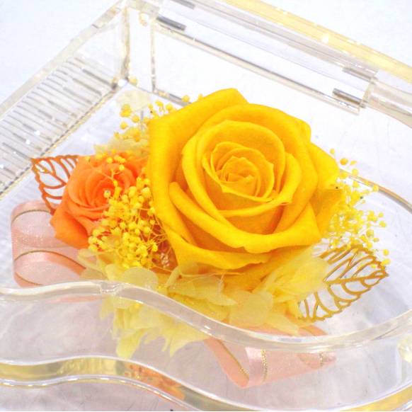 《Preserved Flower》Acrylic Piano (Yellow&Orange ) 