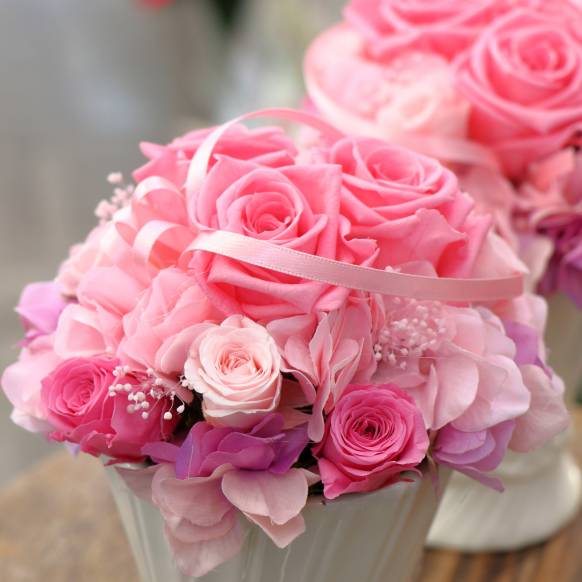 《Preserved Flower》 Airy Pink