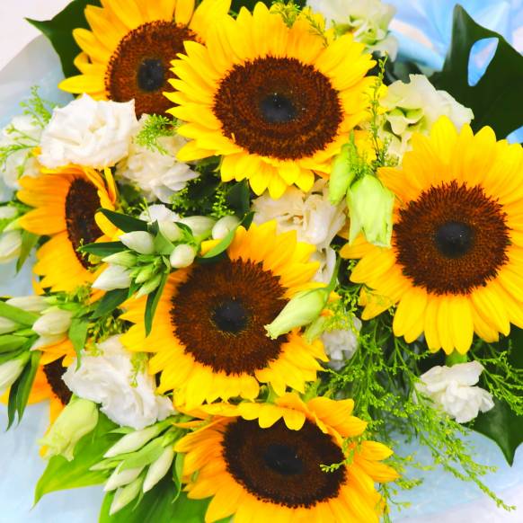 《Funal Bouquet》Sunflower white