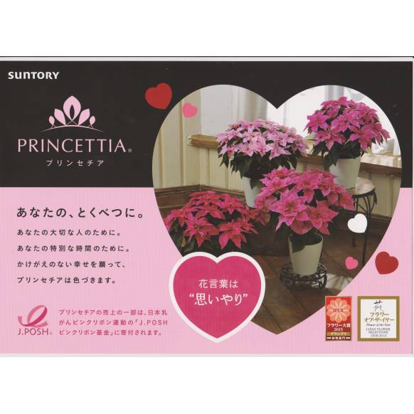 《Flower pots》Your special PRINCETTIA（Pink）