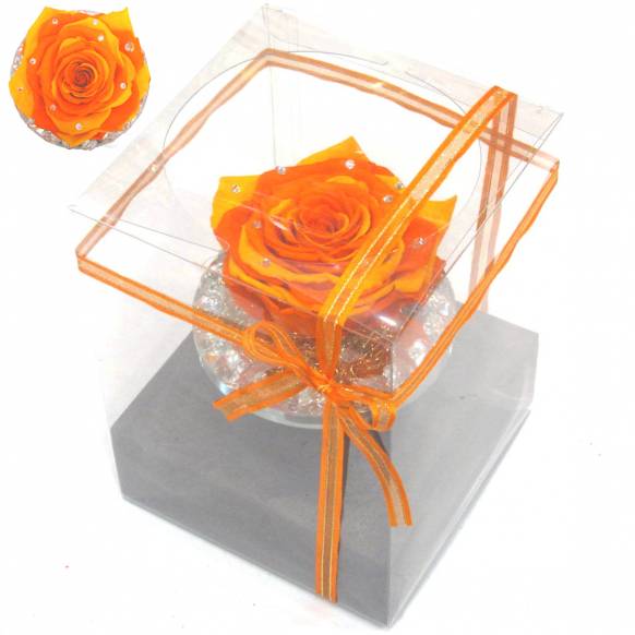 《Preserved Flower》 Crystal Fruity Orange Rose