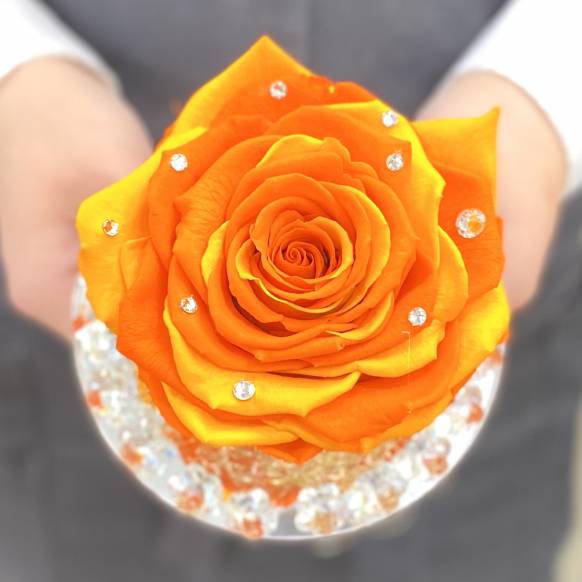 《Preserved Flower》 Crystal Fruity Orange Rose