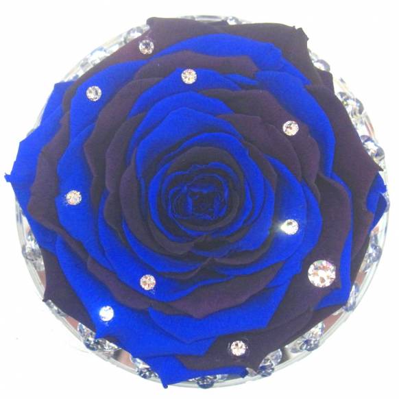 《Preserved Flower》 Crystal Grand Blue Rose