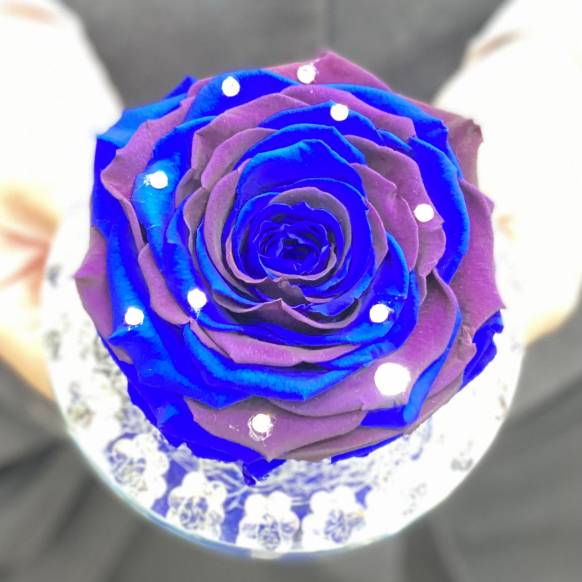 《Preserved Flower》 Crystal Grand Blue Rose