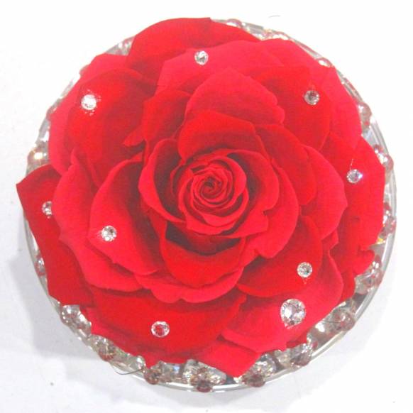 《Preserved Flower》 Crystal Esprit Pink Rose