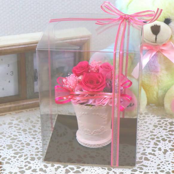 《Preserved Flower》Princess Pink