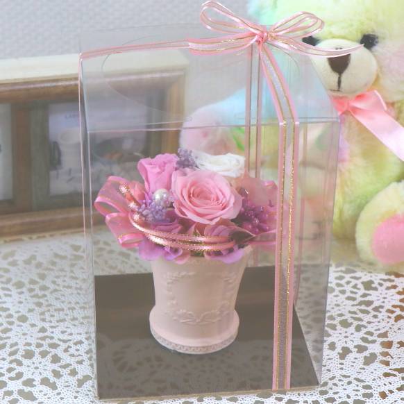 《Preserved Flower》Feminine Pink