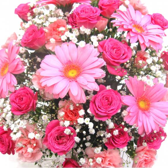 《Flower arrangement》Pinky Gerbera