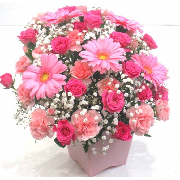 《Flower arrangement》Pinky Gerbera
