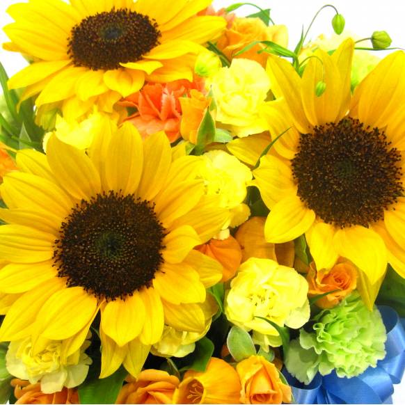 《Flower arrangement》Sunflower Blue Ribbon