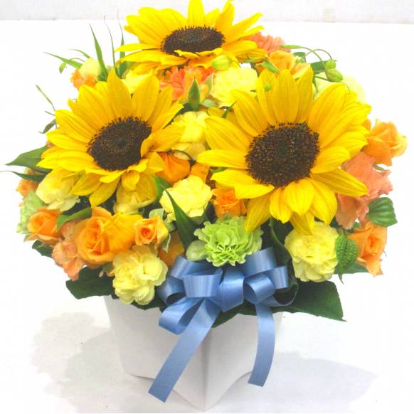 《Flower arrangement》Sunflower Blue Ribbon
