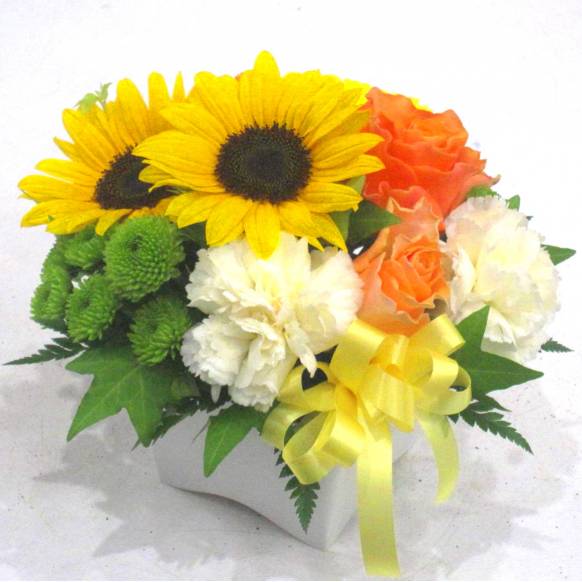 《Flower arrangement》Lovely Sunflower
