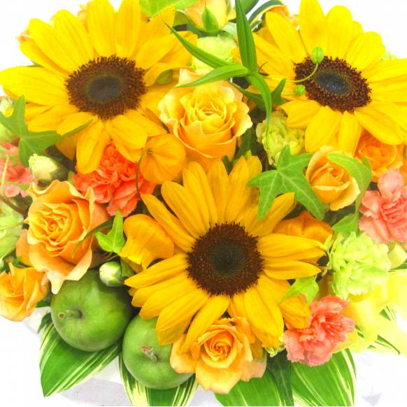 《Flower arrangement》Summer Neat 