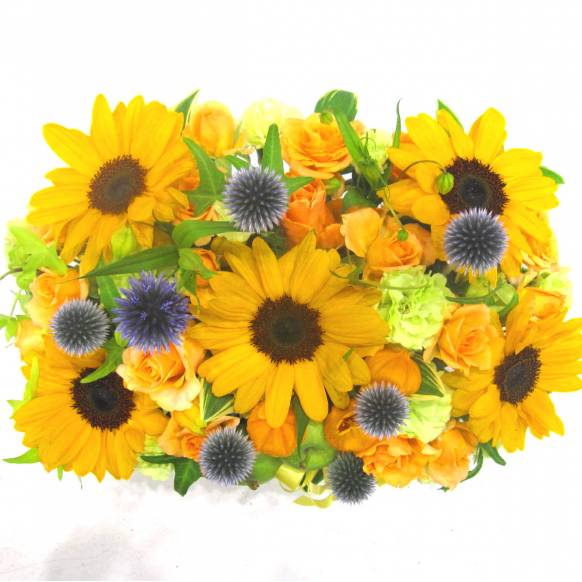 《Flower arrangement》Summer sun