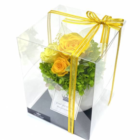 《Preserved Flower》Round  Yellow