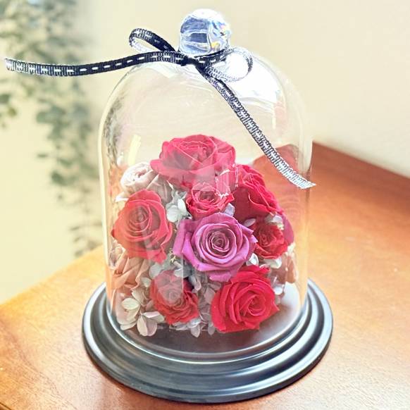 《Preserved Flower》Special Dome Luxury Roze 903512