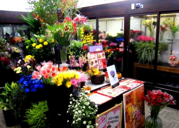 「花樹園」　（静岡県駿東郡長泉町）の花屋店舗写真3