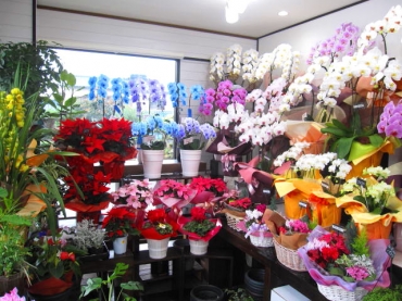 「花樹園」　（静岡県駿東郡長泉町）の花屋店舗写真4